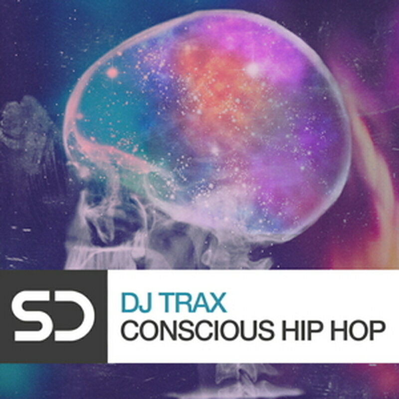 SAMPLE DIGGERS DJ TRAX - CONSCIOUS HIP HOP(オンライン納品)(2時間以内に納品) プラグインソフト