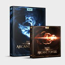 BOOM Library MAGIC - ARCANE FORCES - BUNDLE(オンライン納品)(2時間以内に納品) プラグインソフト