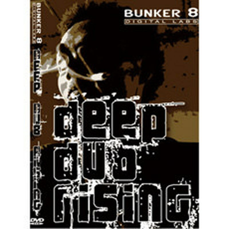 BIG FISH AUDIO DEEP DUB RISING(オンライン納品)(2時間以内に納品) プラグインソフト
