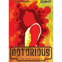 BIG FISH AUDIO NOTORIOUS(オンライン納品)(2時間以内に納品) プラグインソフト