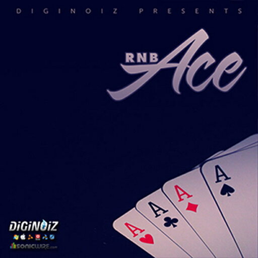 DIGINOIZ R&B ACE(オンライン納品)(2時間以内に納品) プラグインソフト DIGINOIZ R&B ACE(オンライン納品)(2時間以内に納品) プラグインソフト