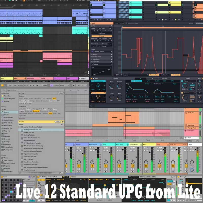 Live 12 Standard UPG from Lite (IC[i)(s) ableton DTM DAW\tg