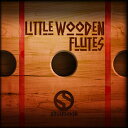 SOUNDIRON LITTLE WOODEN FLUTES(オンライン納品)(2時間以内に納品) プラグインソフト