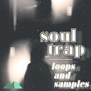 MODEAUDIO SOUL TRAP(オンライン納品)(2時間以内に納品) プラグインソフト