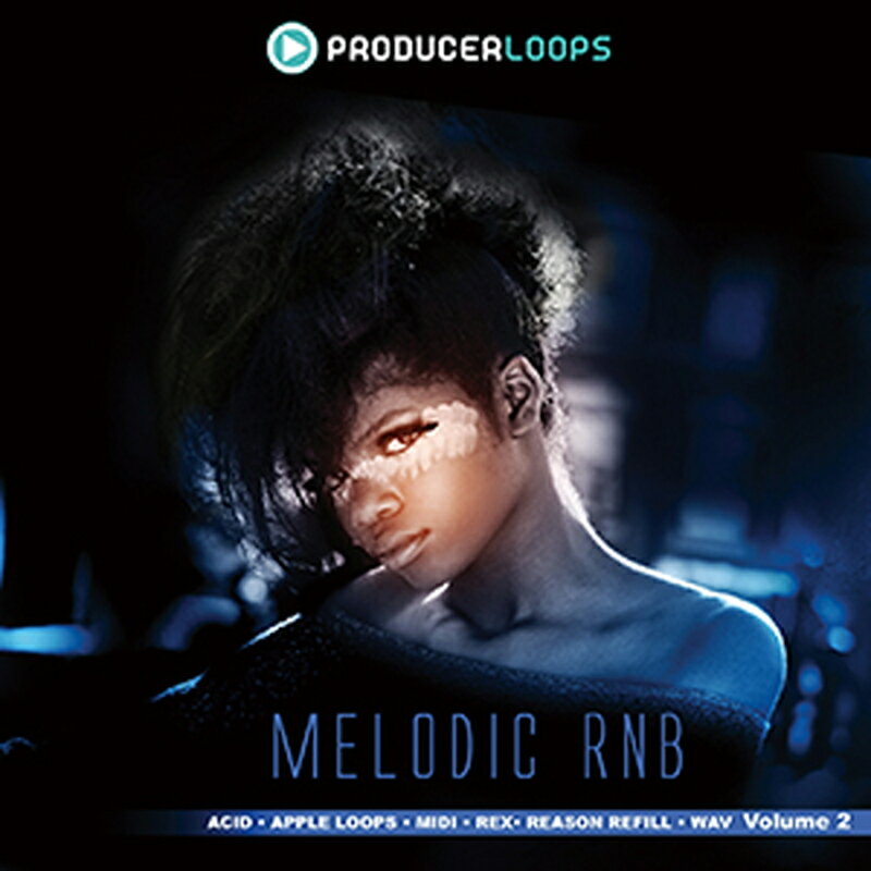 PRODUCER LOOPS MELODIC RNB VOL.2(オンライン納品)(2時間以内に納品) プラグインソフト