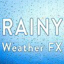SOUND IDEAS 【サウンドイデアMID YEAR SALE!】RAINY WEATHER FX(オンライン納品)(2時間以内に納品) プラグインソフト
