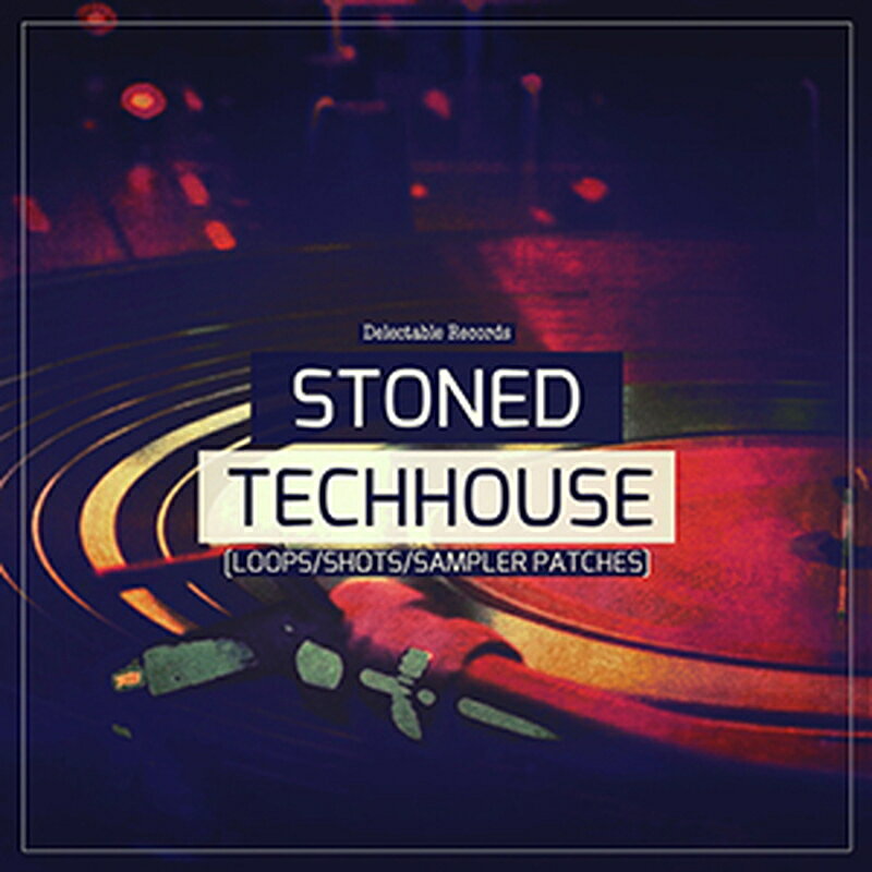 DELECTABLE RECORDS STONED TECH HOUSE(オンライン納品)(2時間以内に納品) プラグインソフト