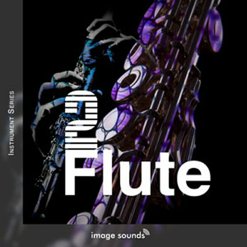 IMAGE SOUNDS FLUTE 2(オンライン納品)(2時間以内に納品) プラグインソフト