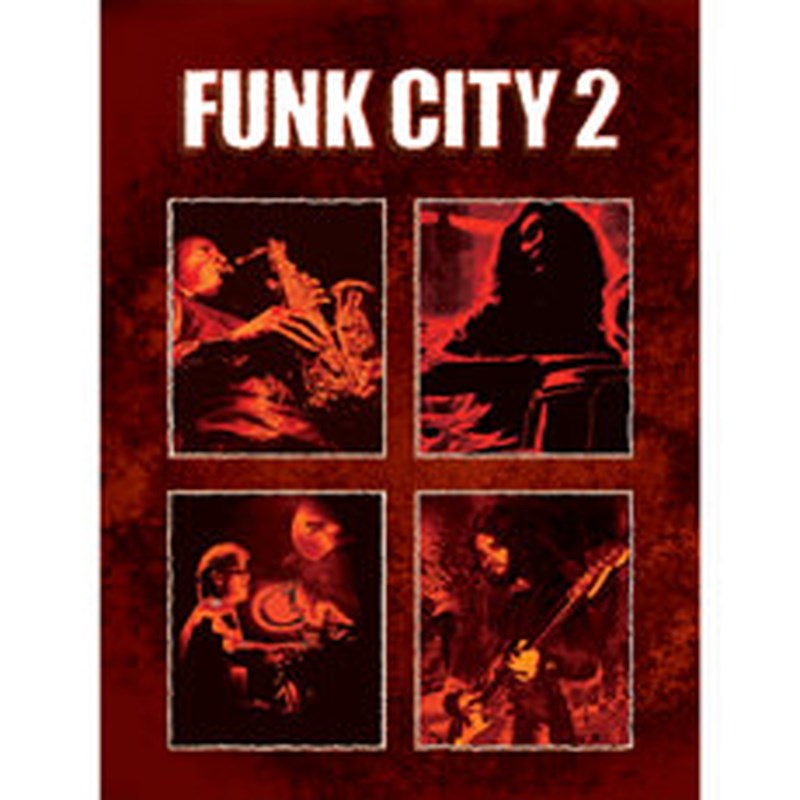 BIG FISH AUDIO FUNK CITY 2(オンライン納品)(2時間以内に納品) プラグインソフト