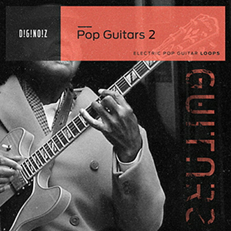 DIGINOIZ POP GUITARS 2(オンライン納品)(2時間以内に納品) プラグインソフト