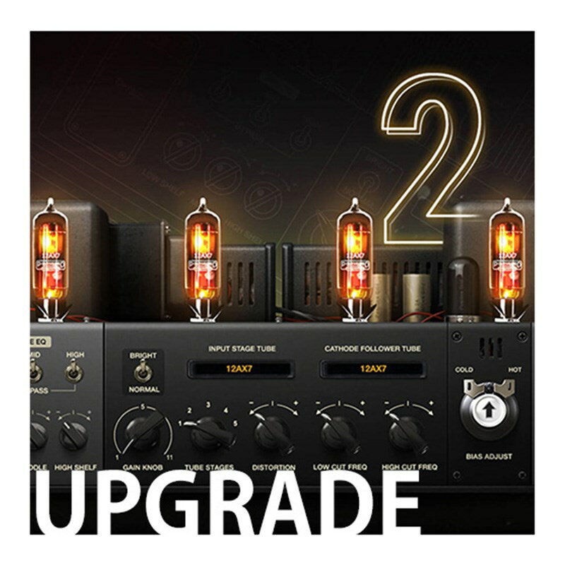 Upgrade From BIAS AMP Standard to BIAS AMP 2 Standard 【オンライン納品専用】【代引不可】 Positive Grid DTM プラグインソフト