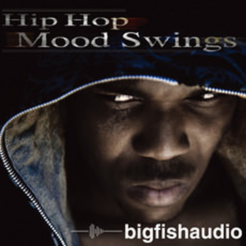 BIG FISH AUDIO HIP HOP MOOD SWINGS(オンライン納品)(2時間以内に納品) プラグインソフト
