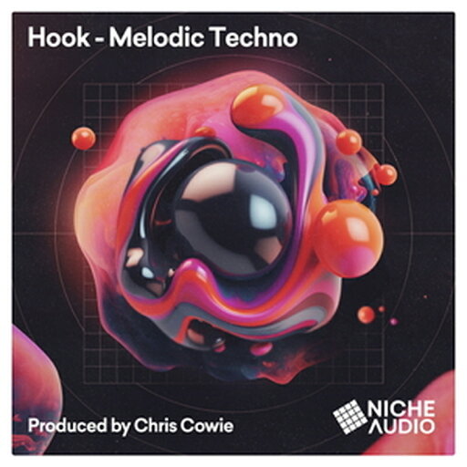 NICHE AUDIO HOOK - MELODIC TECHNO(オンライン納品)(2時間以内に納品) プラグインソフト NICHE AUDIO HOOK - MELODIC TECHNO(オンライン納品)(2時間以内に納品) プラグインソフト
