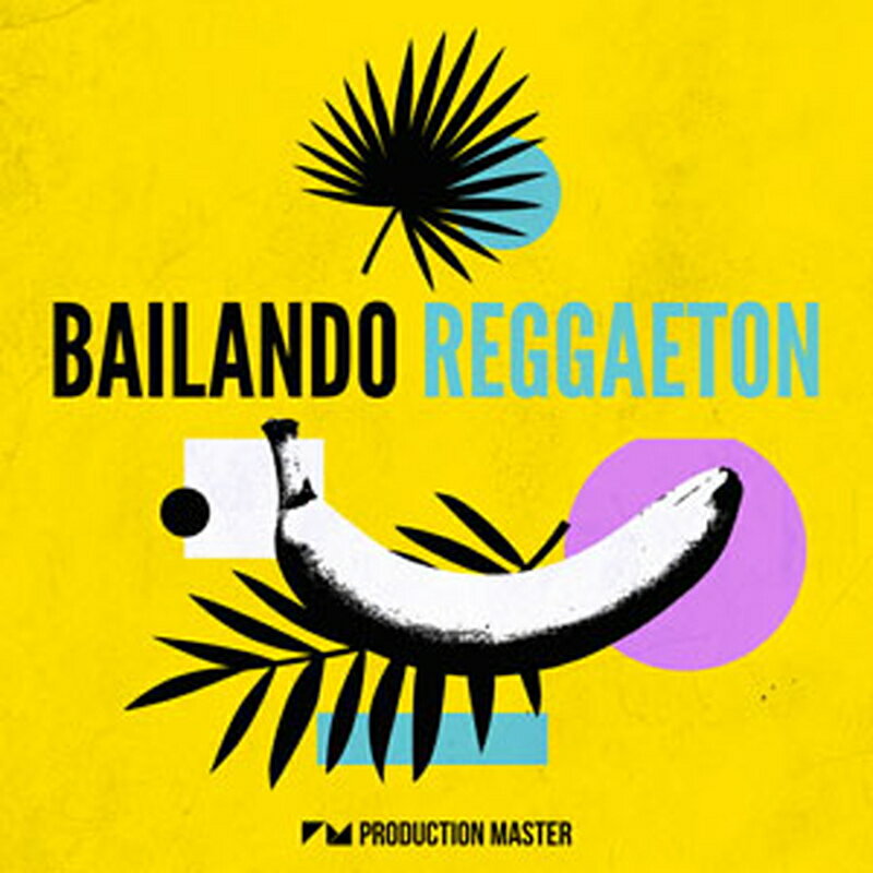 PRODUCTION MASTER BAILANDO REGGAETON(オンライン納品)(2時間以内に納品) プラグインソフト