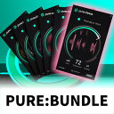 SONIBLE PURE:BUNDLE(オンライン納品)(2時間以内に納品) プラグインソフト