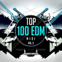SINGOMAKERS TOP 100 EDM MIDI VOL. 2(オンライン納品)(2時間以内に納品) プラグインソフト