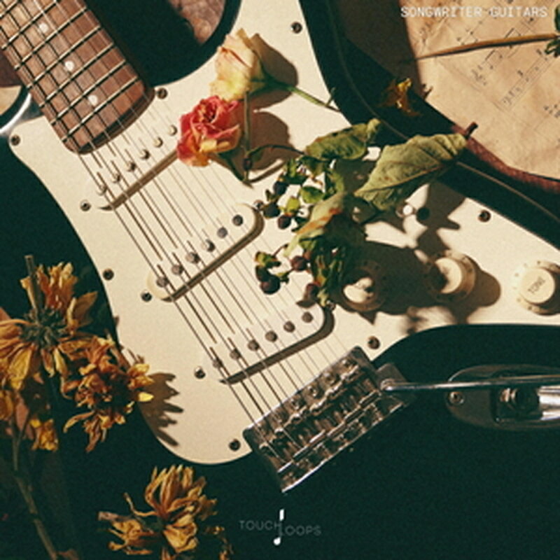 Other - TOUCH LOOPS SONGWRITER GUITARS(オンライン納品)(2時間以内に納品) プラグインソフト