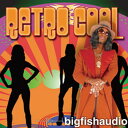 BIG FISH AUDIO RETRO COOL(オンライン納品)(2時間以内に納品) プラグインソフト