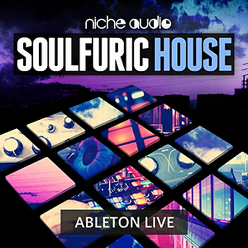 NICHE AUDIO SOULFURIC HOUSE - ABLETON(オンライン納品)(2時間以内に納品) プラグインソフト