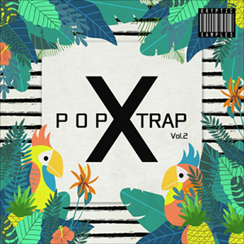 KRYPTIC SAMPLES 【プロデューサーループスブラックフライデーセール!】POP X TRAP VOL 2(オンライン納品)(2時間以内に納品) プラ...