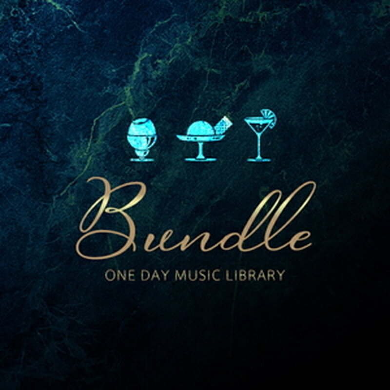 ポケット効果音 【ブラックフライデーセール！】ONE DAY MUSIC LIBRARY - BUNDLE(オンライン納品)(2時間以内に納品) プラグインソフト