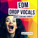 PUSH BUTTON BANG EDM DROP VOCALS - HOOKS, SCREAMS AND SHOUTS(オンライン納品)(2時間以内に納品) プラグインソフト