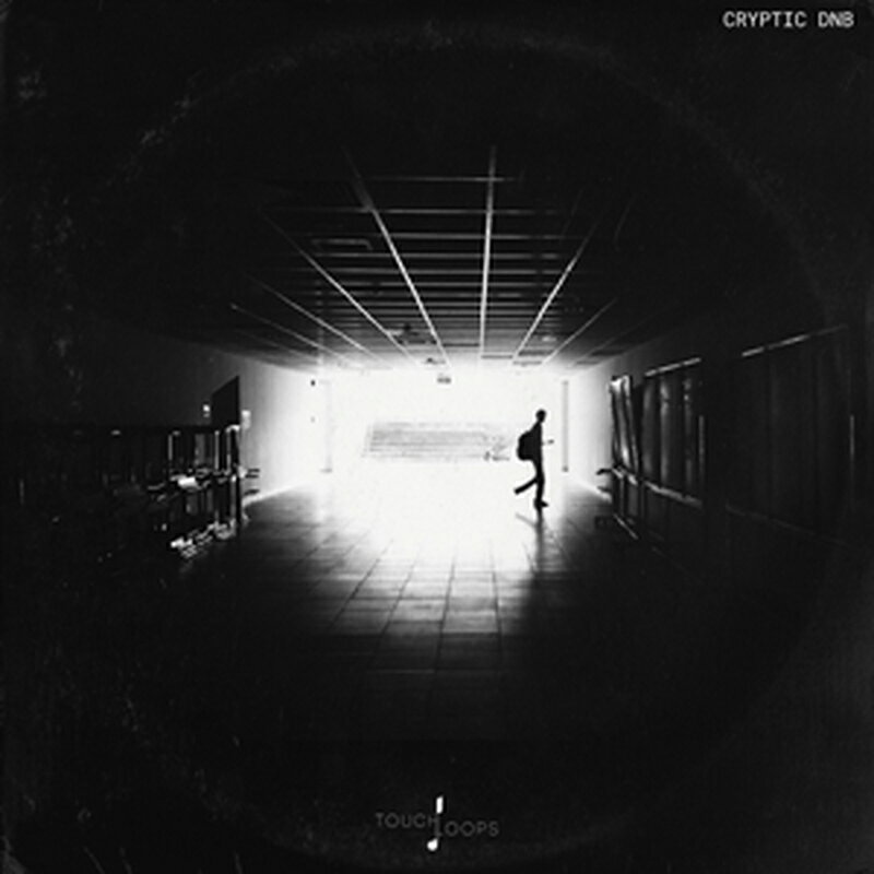 TOUCH LOOPS CRYPTIC DNB(オンライン納品)(2時間以内に納品) プラグインソフト