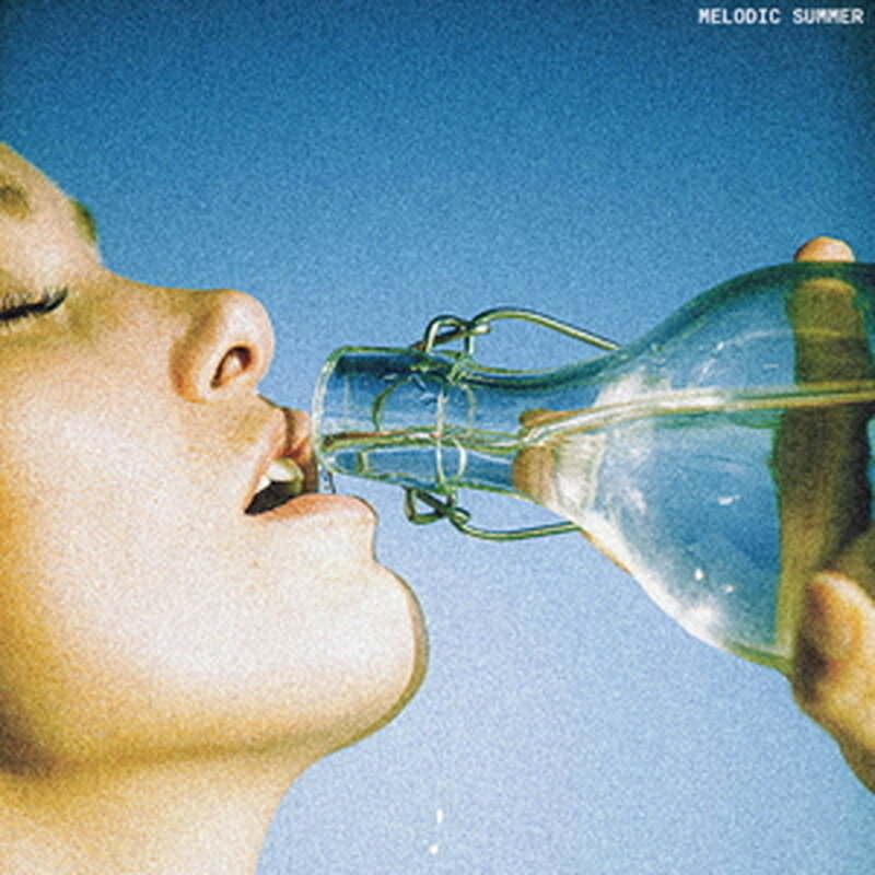 TOUCH LOOPS MELODIC SUMMER(オンライン納品)(2時間以内に納品) プラグインソフト