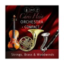 BestService CHRIS HEIN ORCHESTRA COMPACT (オンライン納品)(2時間以内に納品) ソフトウェア音源