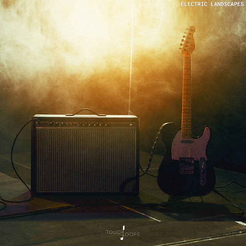 TOUCH LOOPS ELECTRIC LANDSCAPES(オンライン納品)(2時間以内に納品) プラグインソフト
