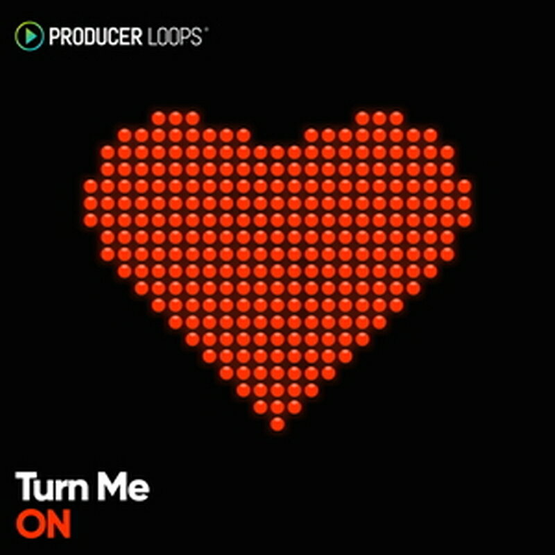 PRODUCER LOOPS TURN ME ON(オンライン納品)(2時間以内に納品) プラグインソフト