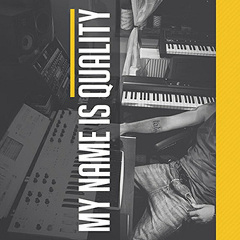 DIGINOIZ MY NAME IS QUALITY(オンライン納品)(2時間以内に納品) プラグインソフト