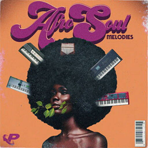 PRIME LOOPS AFRO SOUL MELODIES(オンライン納品)(2時間以内に納品) プラグインソフト PRIME LOOPS AFRO SOUL MELODIES(オンライン納品)(2時間以内に納品) プラグインソフト