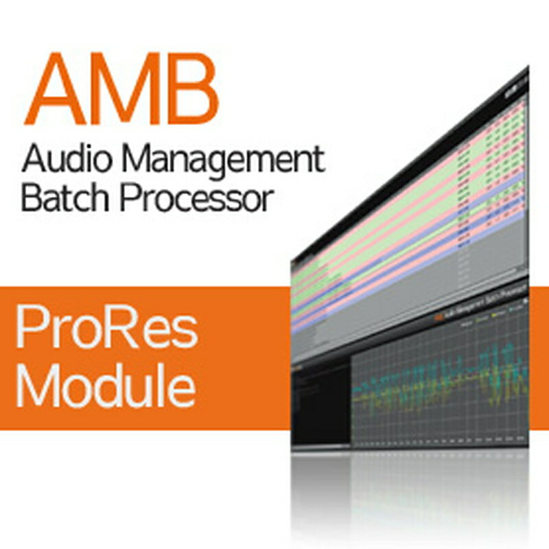 Nugen Audio 【ヌゲンオーディオブラックフライデーセール！】AMB ProRes Module(オンライン納品)(2時間以内に納品) プラグインソフト