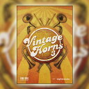 BIG FISH AUDIO VINTAGE HORNS 3(オンライン納品)(2時間以内に納品) ソフトウェア音源