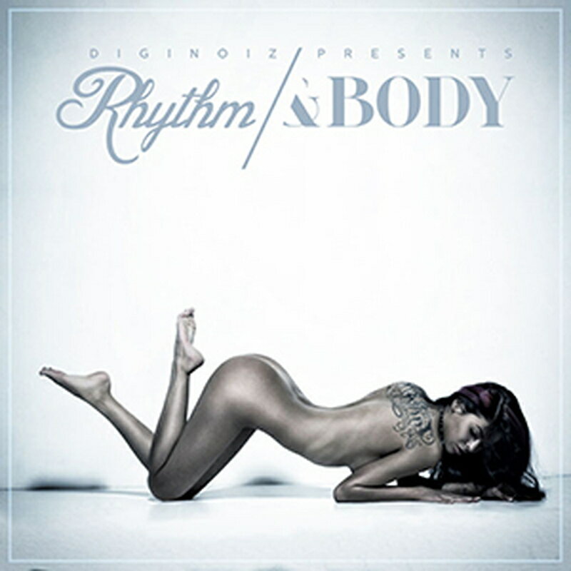 DIGINOIZ RHYTHM&BODY(オンライン納品)(2時間以内に納品) プラグインソフト