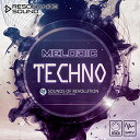 SOUNDS OF REVOLUTION SOR - MELODIC TECHNO(オンライン納品)(2時間以内に納品) プラグインソフト