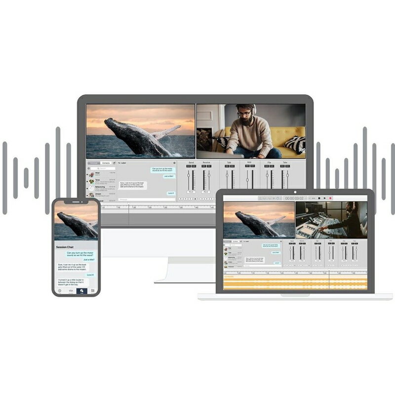 Soundwhale Level 2 Recording Solution (Perpetual)(オンライン納品)(2時間以内に納品) プラグインソフト