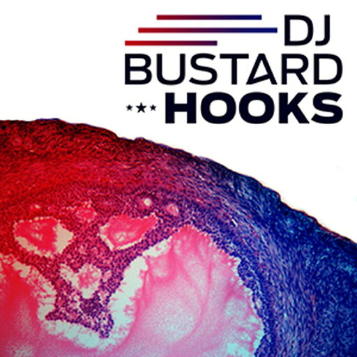 DIGINOIZ DJ BUSTARD HOOKS(オンライン納品)(2時間以内に納品) プラグインソフト DIGINOIZ DJ BUSTARD HOOKS(オンライン納品)(2時間以内に納品) プラグインソフト