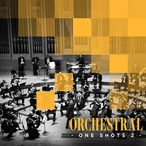 DIGINOIZ ORCHESTRAL ONE SHOTS 2(オンライン納品)(2時間以内に納品) プラグインソフト DIGINOIZ ORCHESTRAL ONE SHOTS 2(オンライン納品)(2時間以内に納品) プラグインソフト