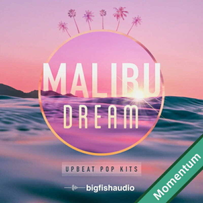 BIG FISH AUDIO MALIBU DREAM - UPBEAT POP KITS MMT(オンライン納品)(2時間以内に納品) プラグインソフト