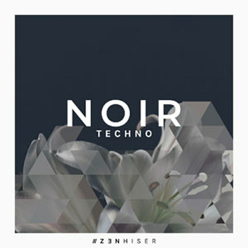 ZENHISER NOIR - TECHNO(オンライン納品)(2時間以内に納品) プラグインソフト