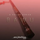 EVOLUTION SERIES WORLD COLORS BAWU(オンライン納品)(2時間以内に納品) ソフトウェア音源