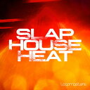 LOOPMASTERS SLAP HOUSE HEAT(オンライン納品)(2時間以内に納品) プラグインソフト