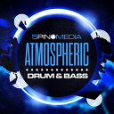 5PIN MEDIA - ATMOSPHERIC DRUM & BASS(オンライン納品)(2時間以内に納品) プラグインソフト