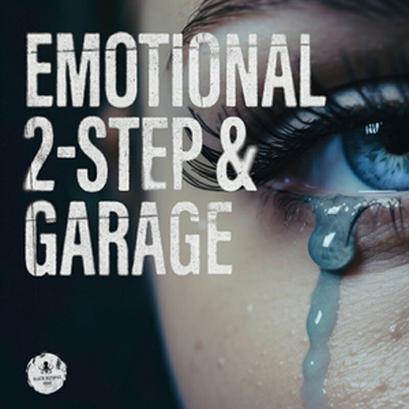 BLACK OCTOPUS EMOTIONAL 2-STEP & GARAGE(オンライン納品)(2時間以内に納品) プラグインソフト