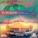BLACK OCTOPUS TROPICALIENTE(オンライン納品)(2時間以内に納品) プラグインソフト