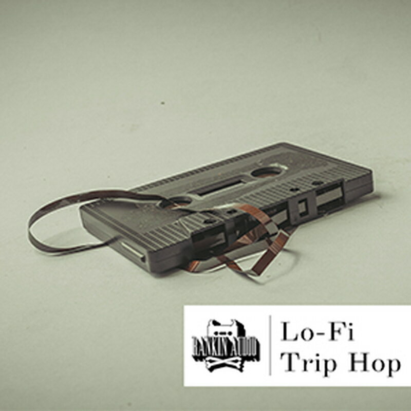 RANKIN AUDIO LO-FI TRIP HOP(オンライン納品)(2時間以内に納品) プラグインソフト