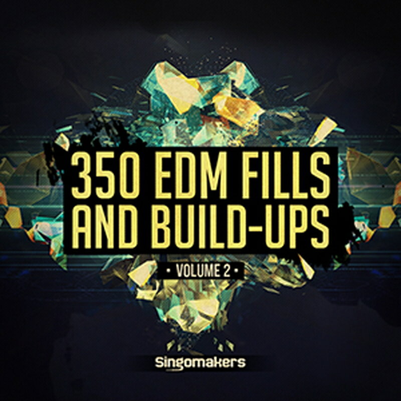 SINGOMAKERS 【ブラックフライデーセール！】EDM FILLS AND BUILD-UPS VOL 2(オンライン納品)(2時間以内に納品) プラグインソフト