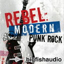 BIG FISH AUDIO REBEL / MODERN PUNK ROCK(オンライン納品)(2時間以内に納品) プラグインソフト